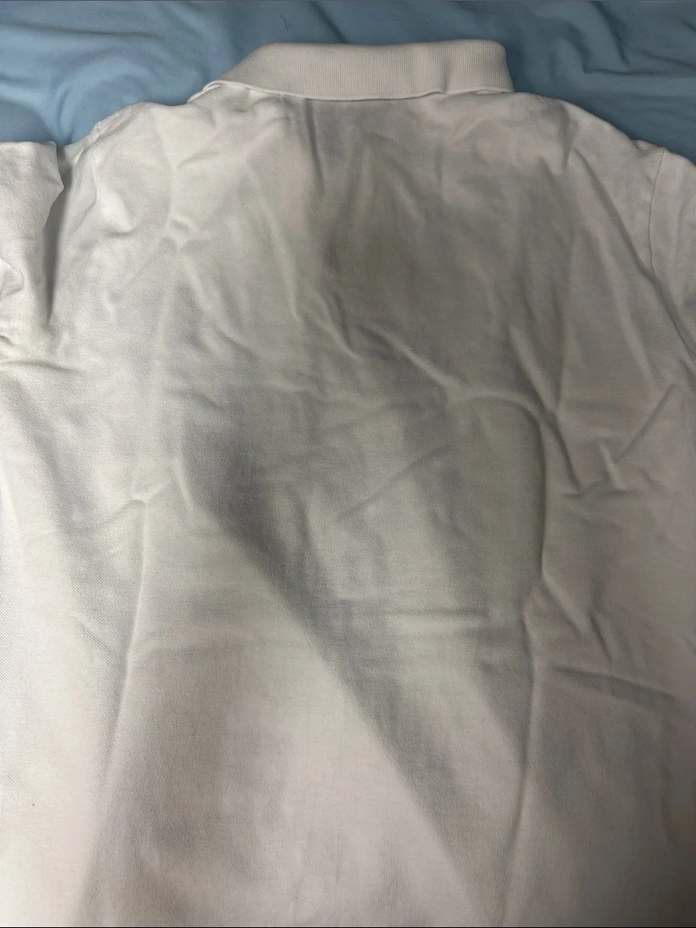 Polo by Ralph Lauren White Short-Sleeve Polo with Bear Embroidery